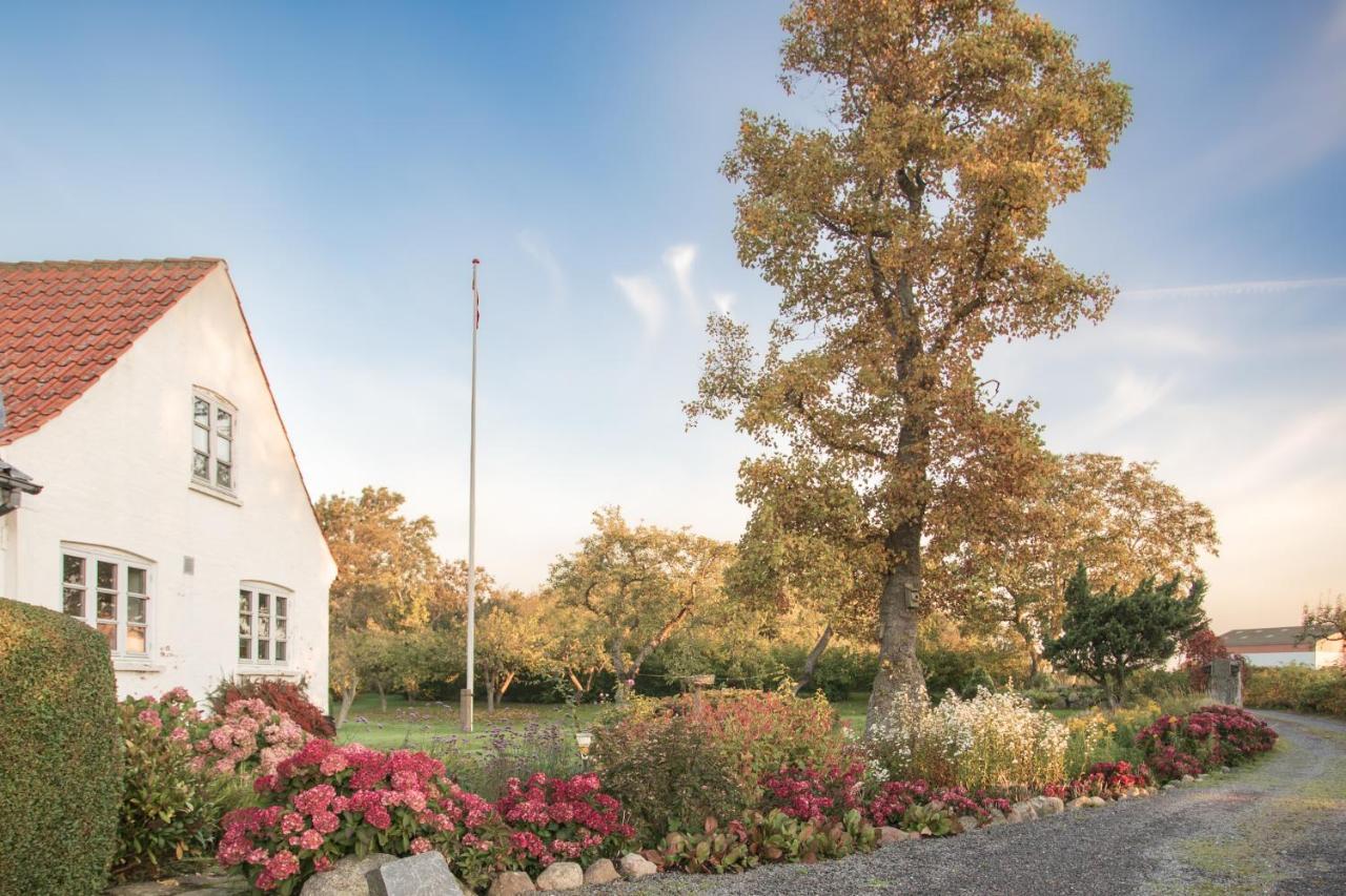 Sjaelegard Countryside Lodge 알링에 외부 사진