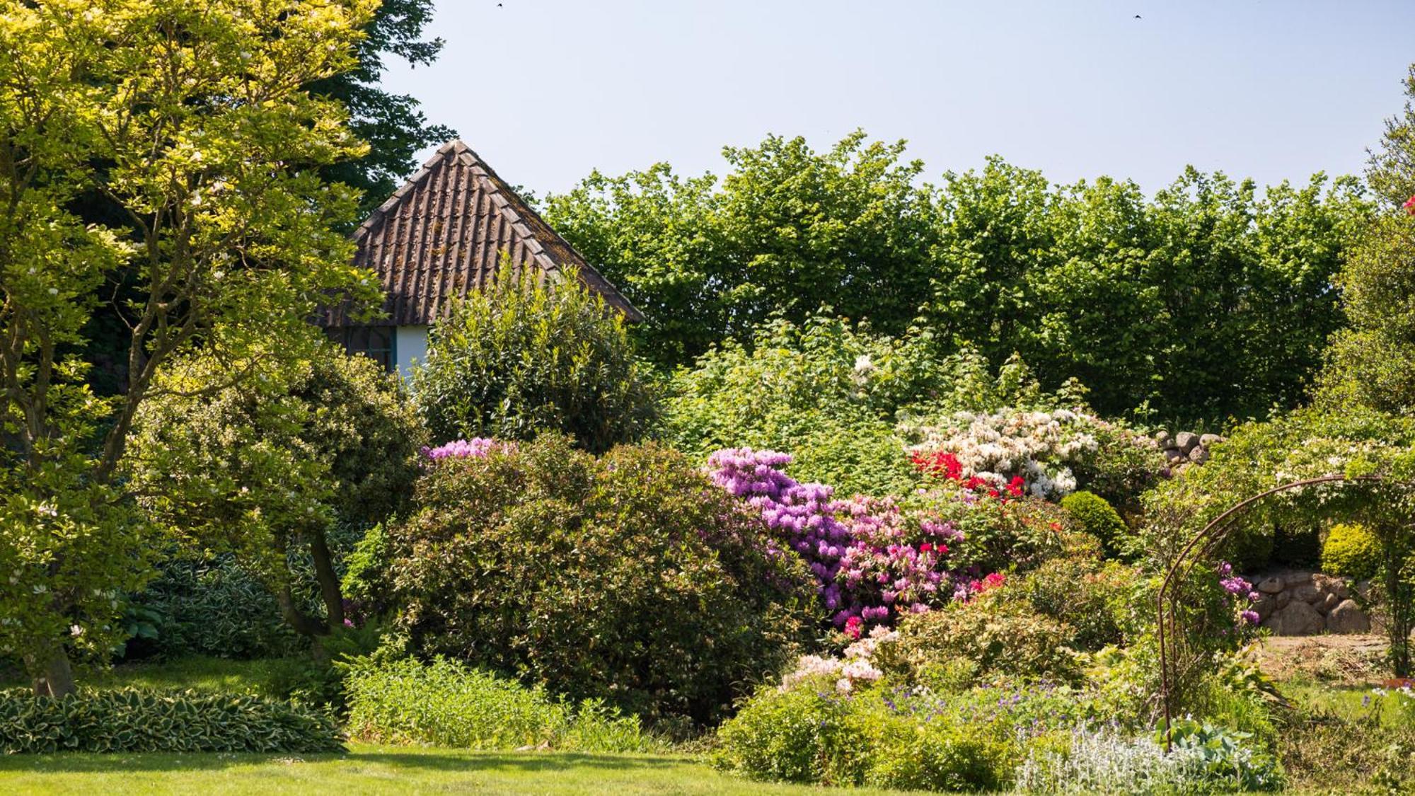 Sjaelegard Countryside Lodge 알링에 외부 사진