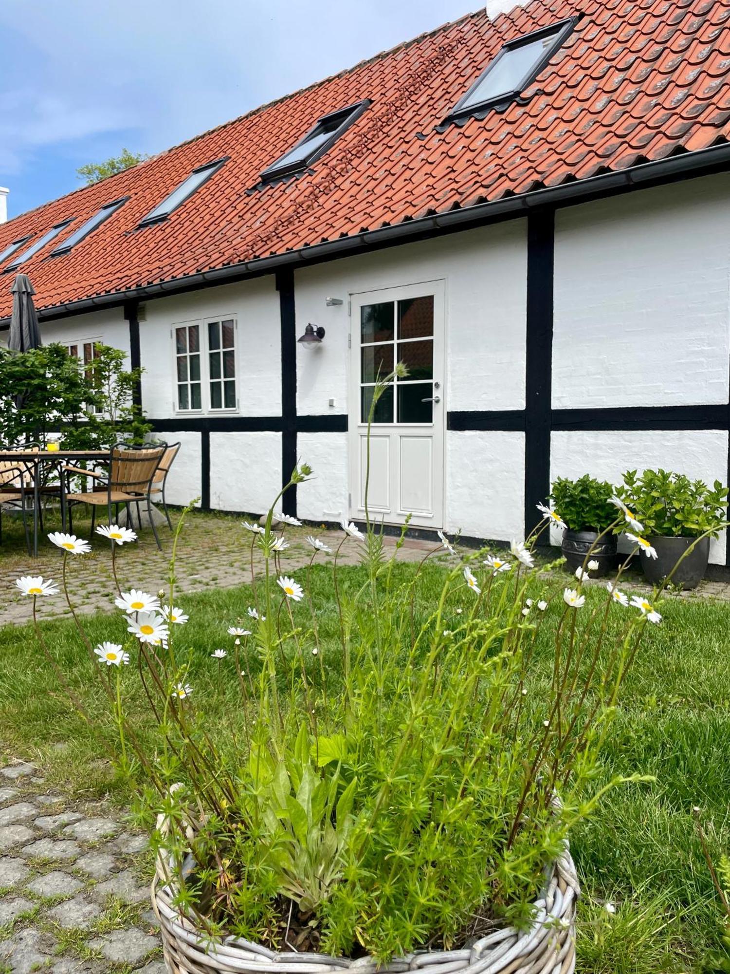 Sjaelegard Countryside Lodge 알링에 외부 사진